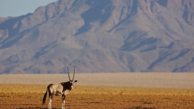 Namibia Travel in 2025: Some of the Best Things to Do and See
